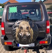 Kryt rezervního kola divoké prase 68cm